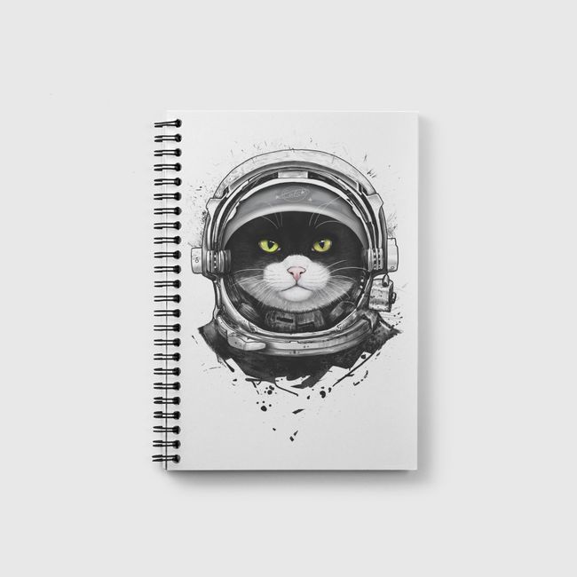 Cosmic cat - Notebook