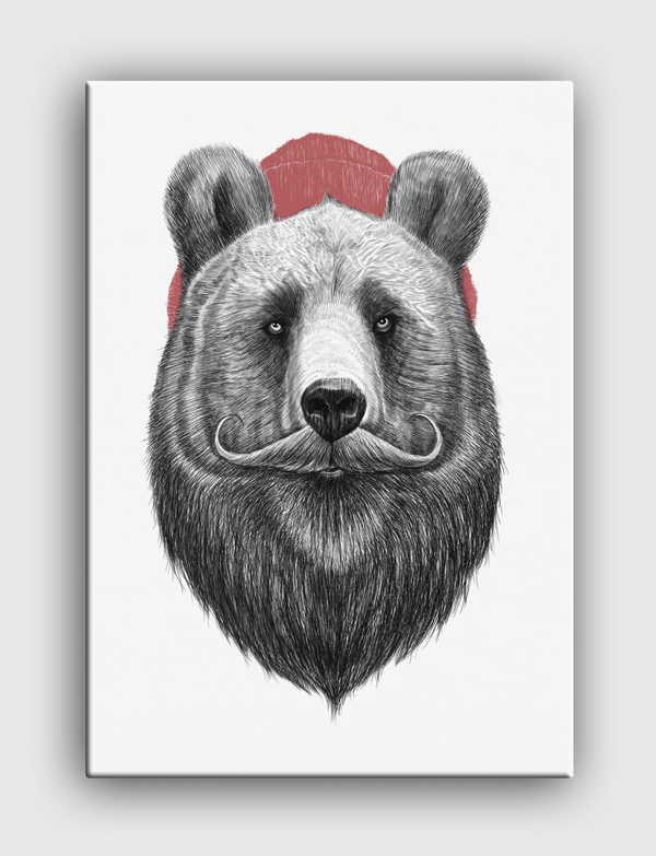 Bearded bear Canvas