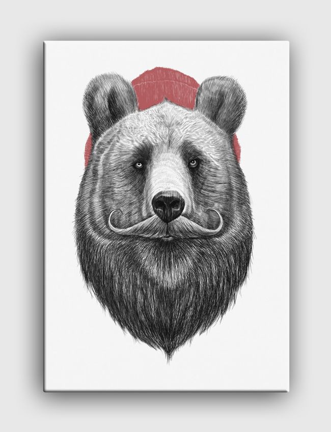 Bearded bear - Canvas