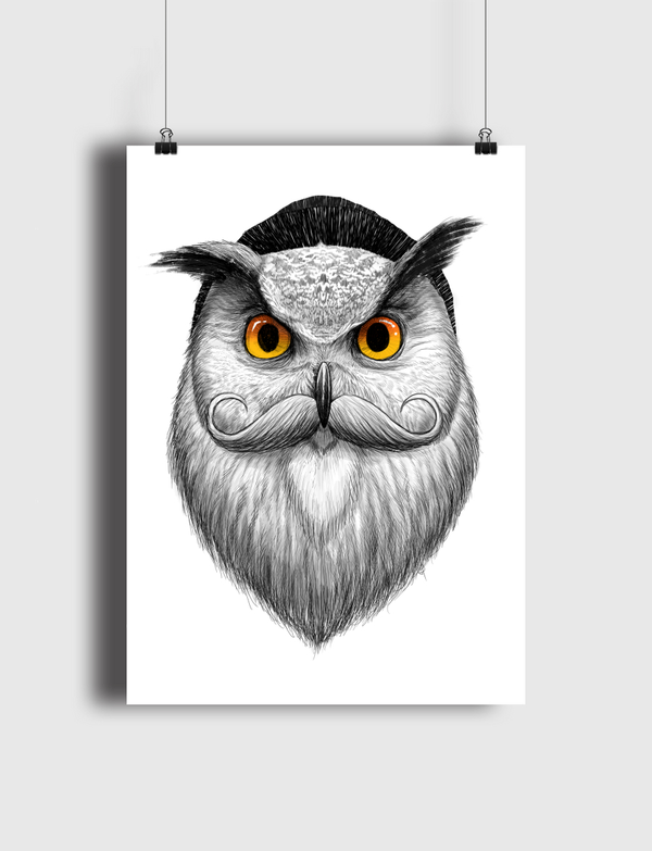 Bearded owl Poster