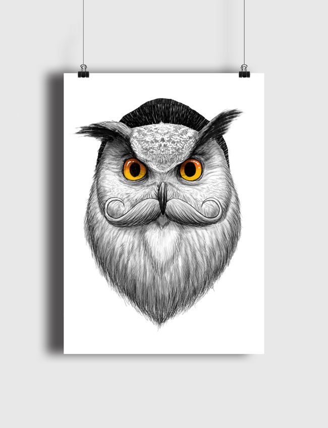 Bearded owl - Poster
