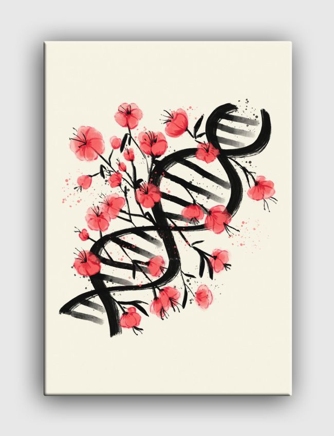 Sakura Sumie DNA - Canvas