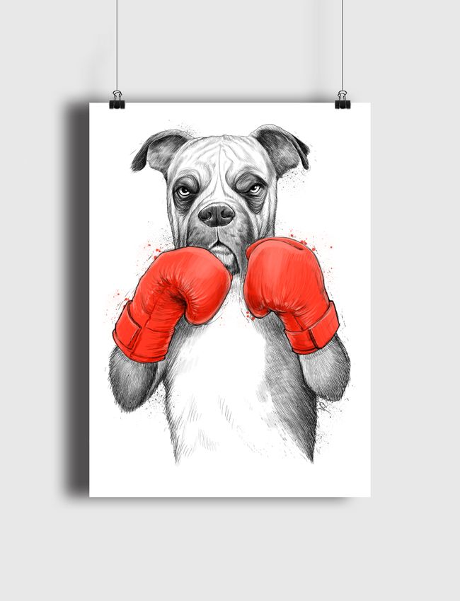 Boxer - Poster