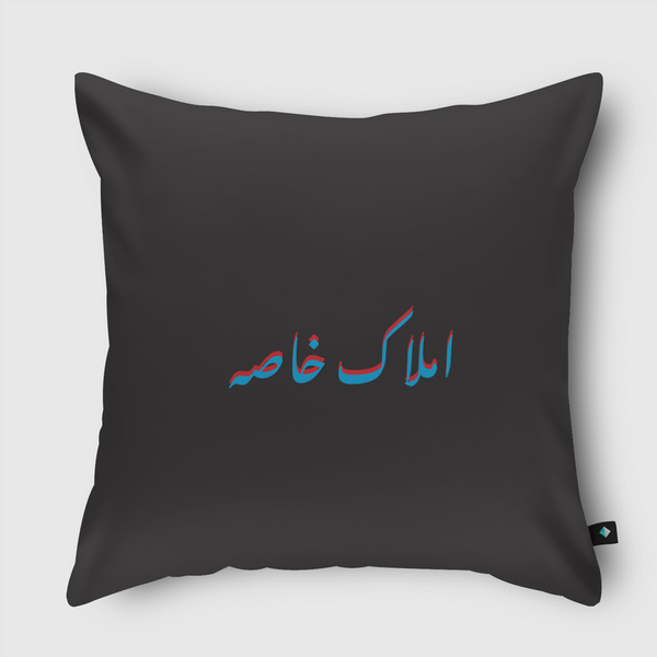 private property  Throw Pillow