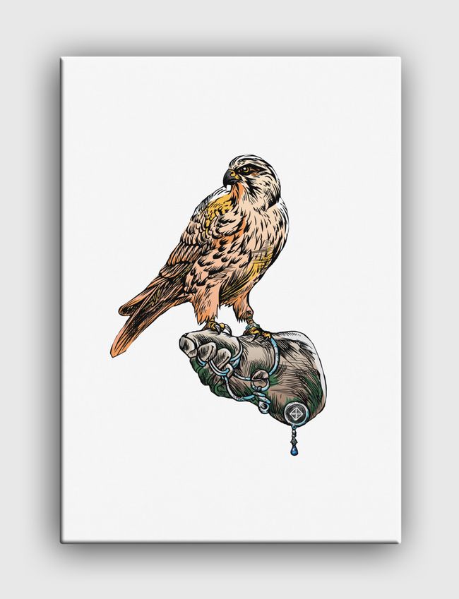 Arabian Falcon - Canvas