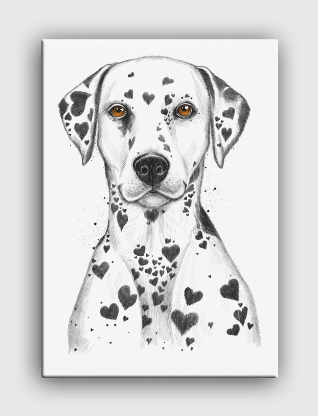 Dalmatian - Canvas