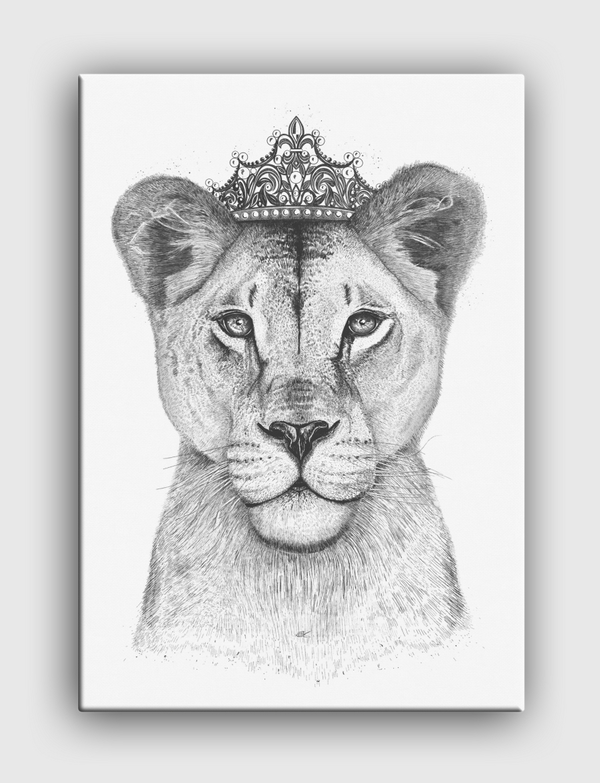 Queen lioness Canvas