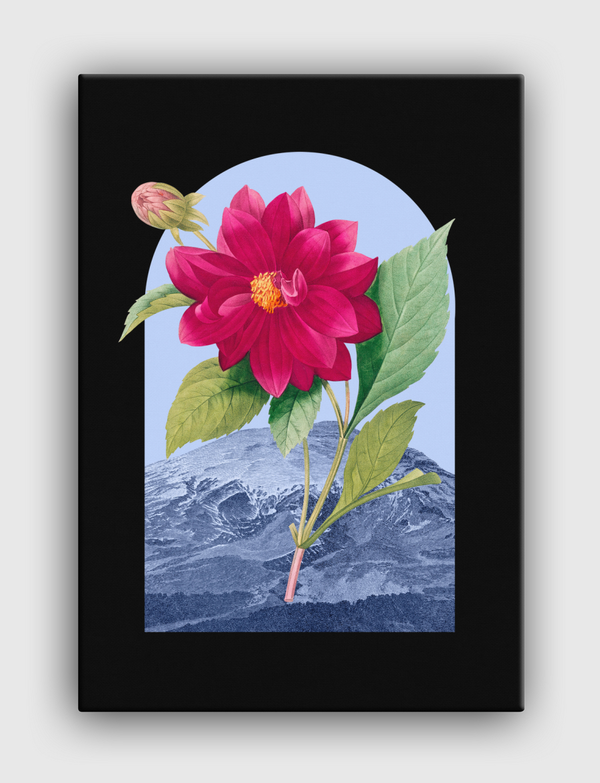 Floral Landscape Dahlia Canvas