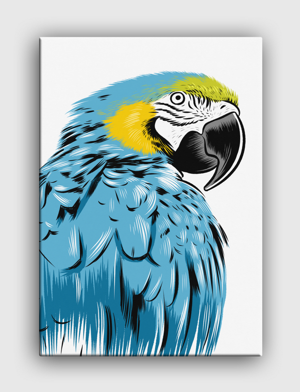 Tropical Macaw Canvas