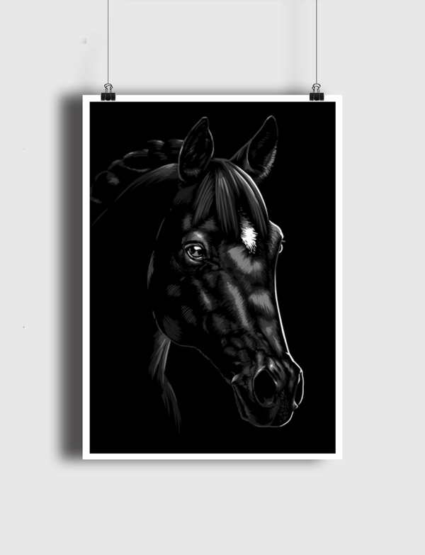 Beautiful Arabian horse Poster