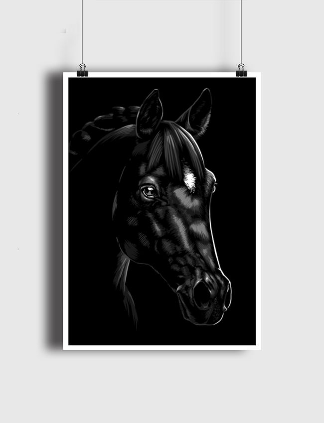 Beautiful Arabian horse - Poster