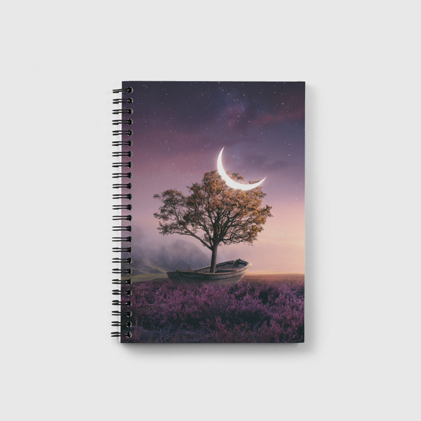 Take me home Notebook