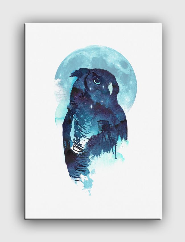 Midnight owl - Canvas