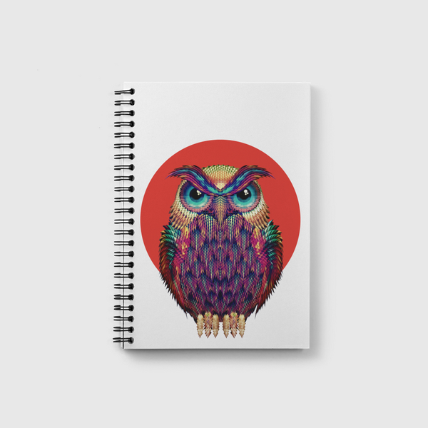 Owl 2 Notebook