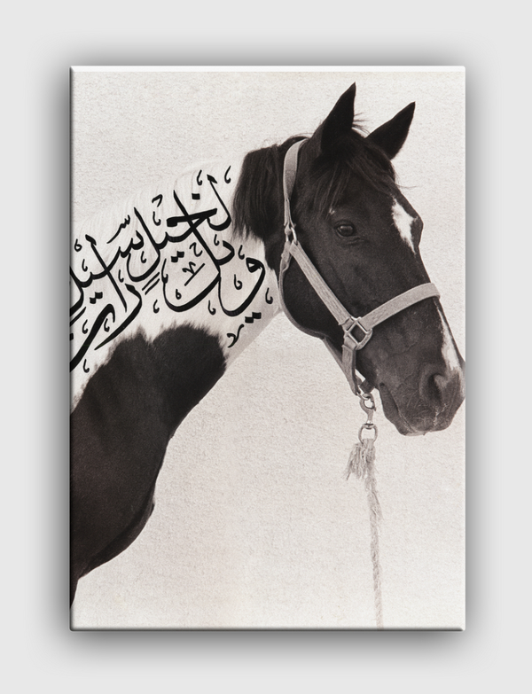 Arabian Hourse Canvas
