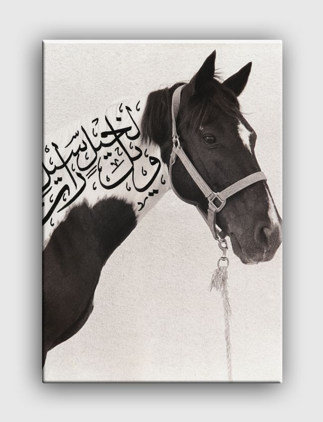 Arabian Hourse - Canvas