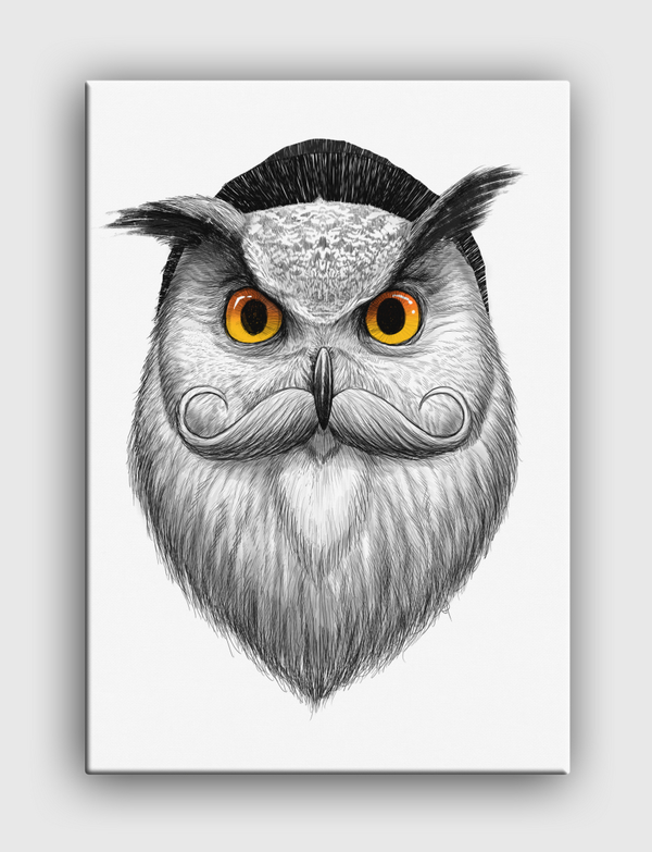 Bearded owl Canvas