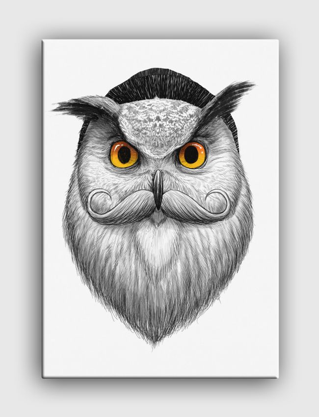 Bearded owl - Canvas