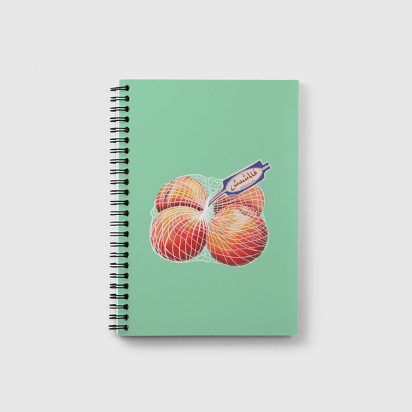 fl mshmsh Notebook