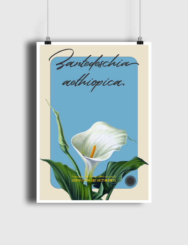 زهرة Poster