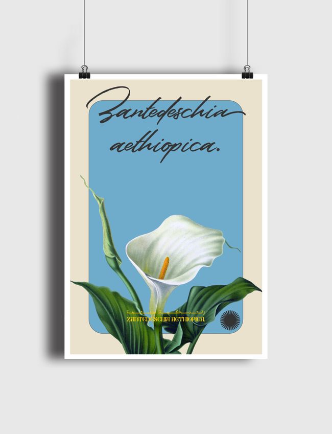 زهرة - Poster