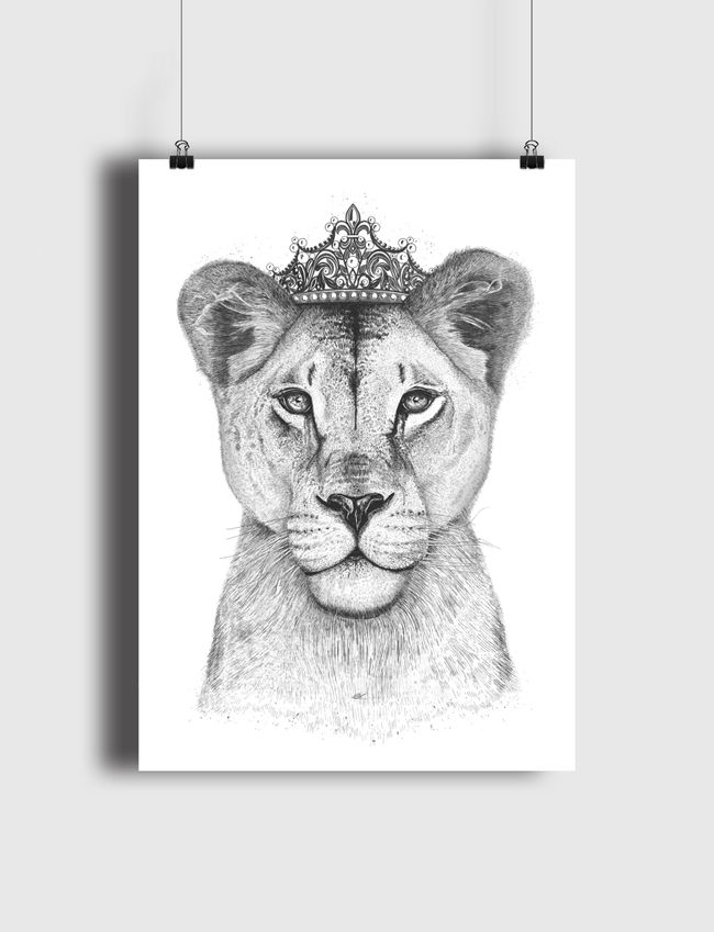 Queen lioness - Poster
