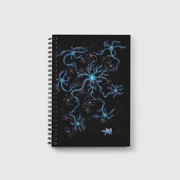 Neuron Galaxy Notebook