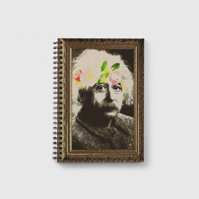 einstein filter   - Notebook