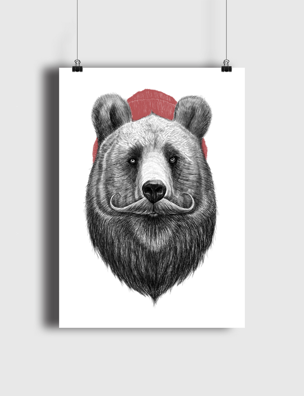 Bearded bear Poster