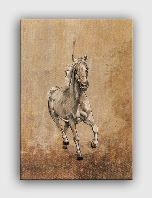 Horse  Canvas