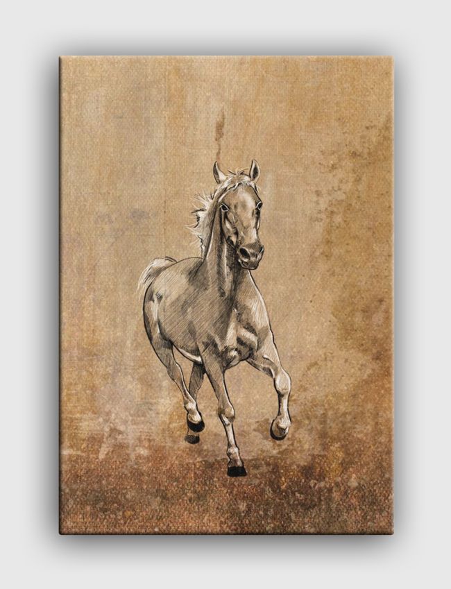Horse  - Canvas