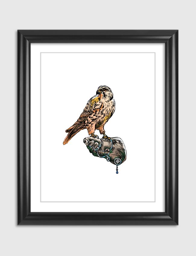 Arabian Falcon - Artframe