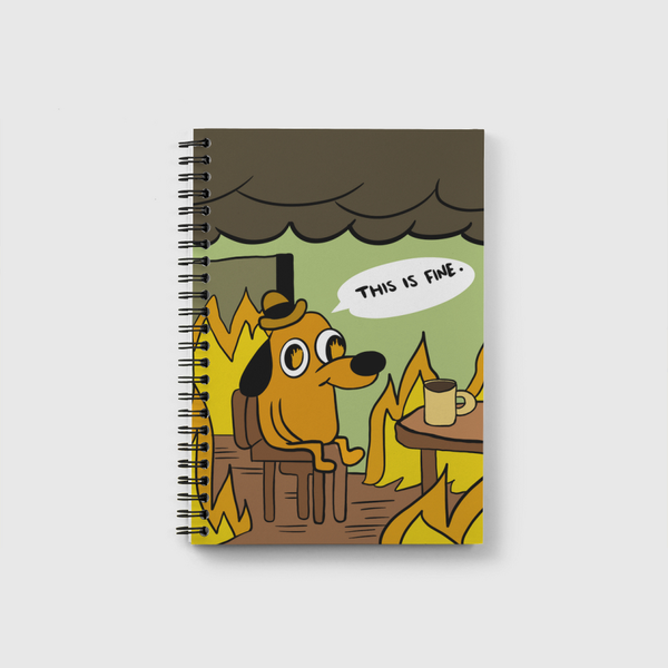 This is fine  Notebook