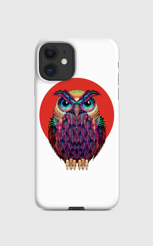 Owl 2 Regular Case