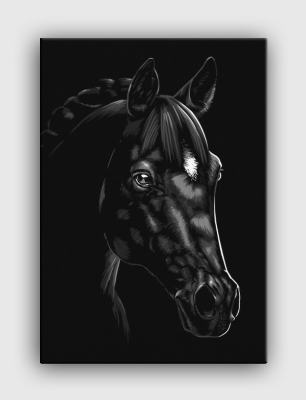 Beautiful Arabian horse Canvas