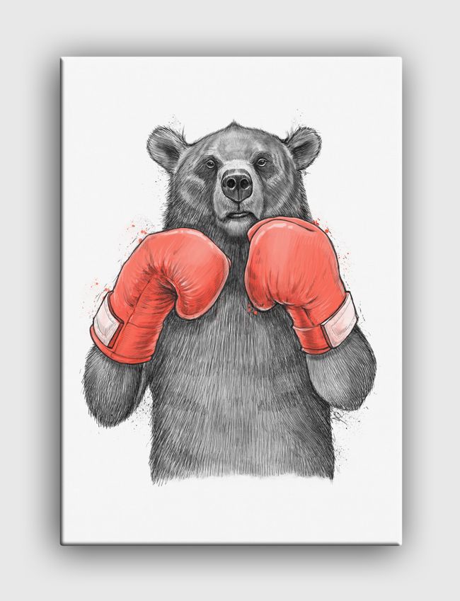 Bear Boxer - Canvas